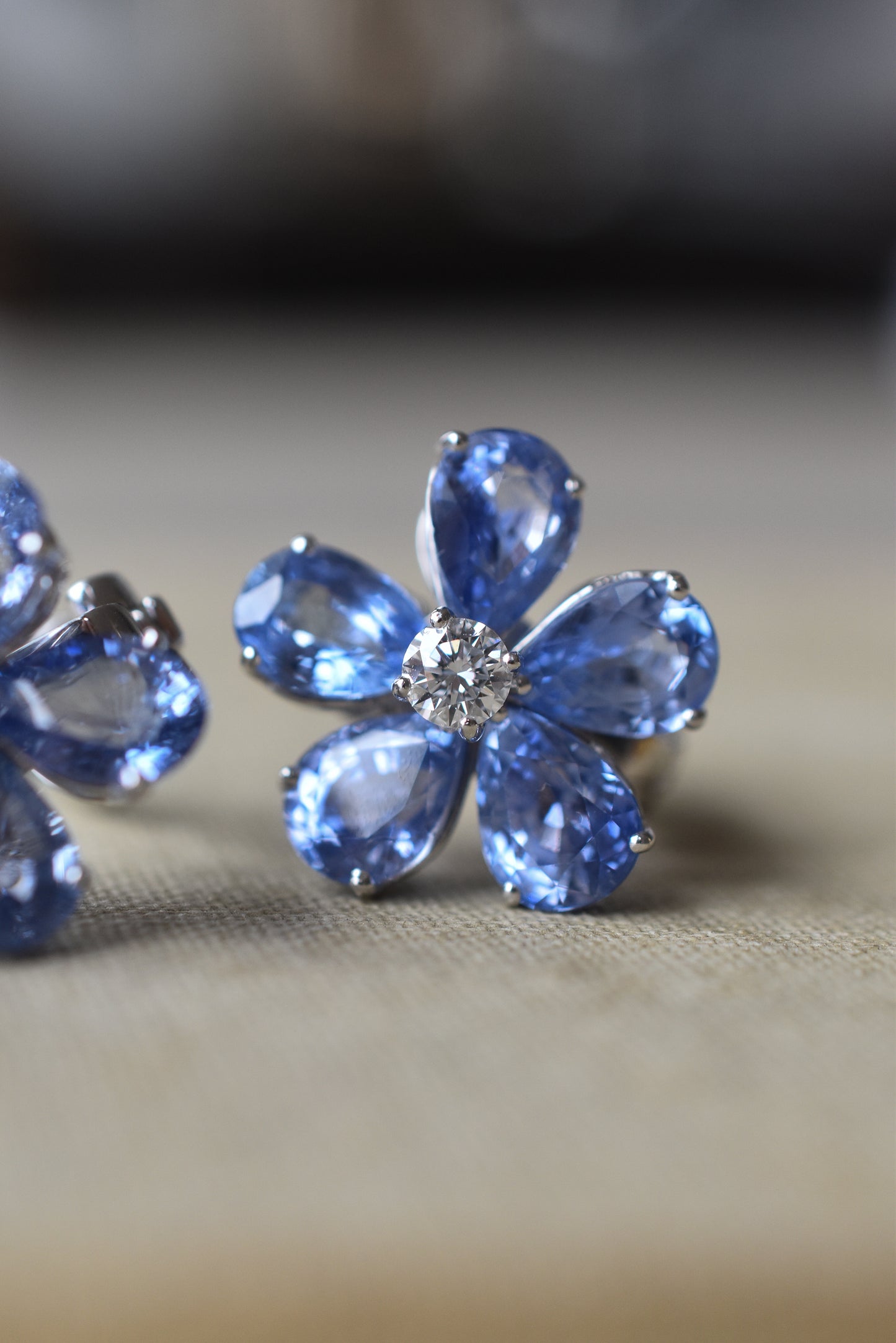 10ct Ceylon Sapphire and Diamond Flower Cluster Earrings in Platinum
